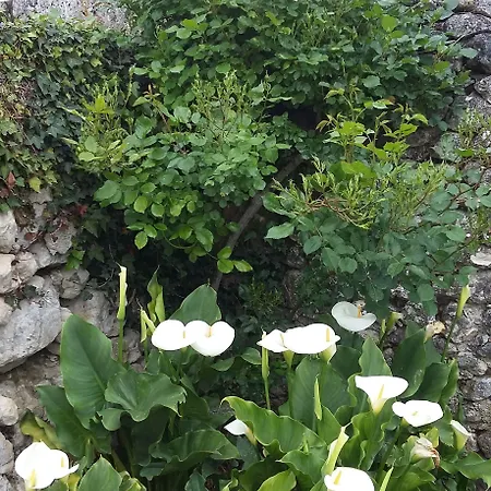 Domaine De Puyrousse